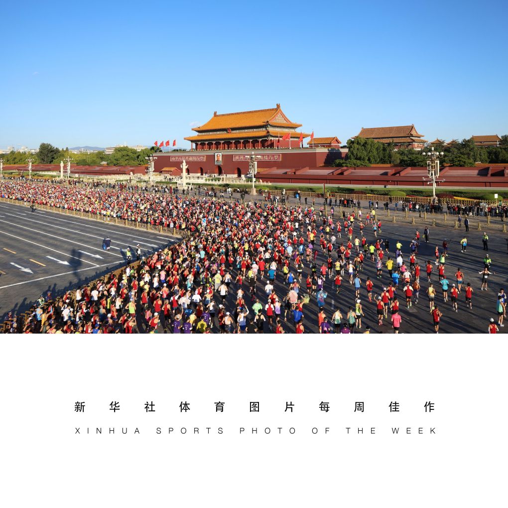 永利ylg展示图片